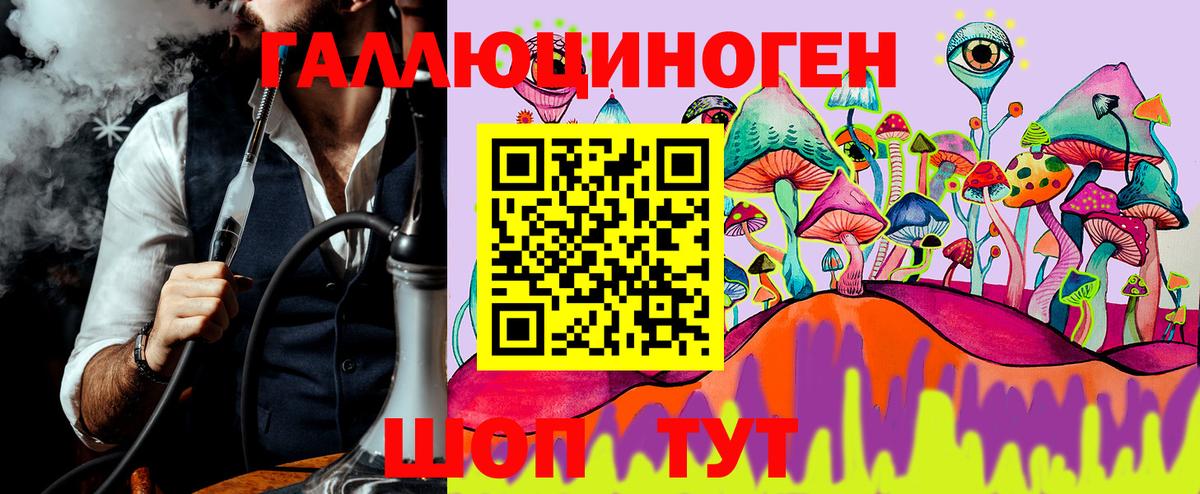 Псилоцибиновые грибы мицелий Прокопьевск